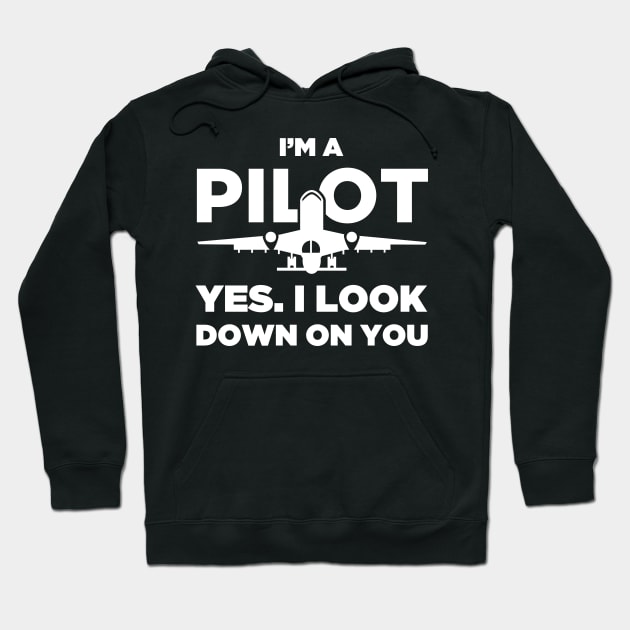 Funny Airplane Pilot Quote Hoodie by MeatMan